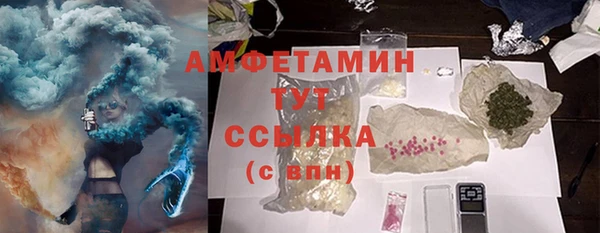 молекула духа Вяземский