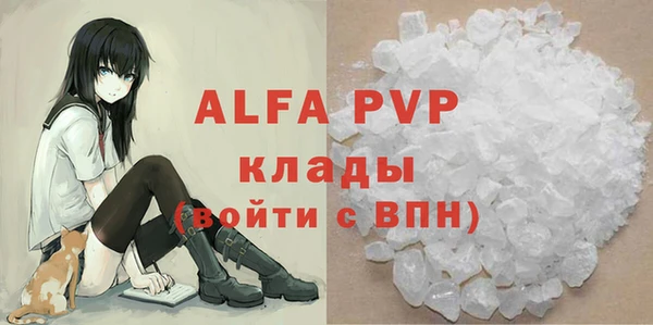 молекула духа Вяземский