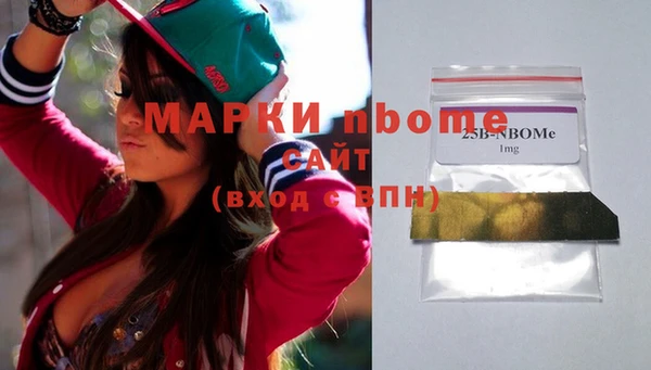 молекула духа Вяземский