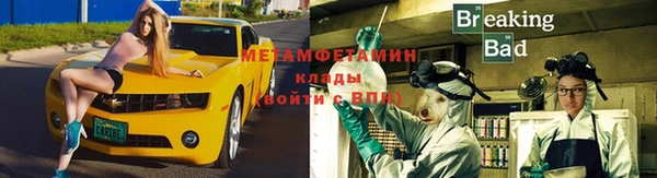 молекула духа Вяземский