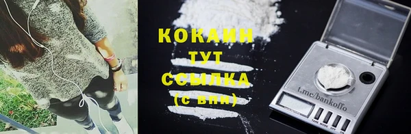 гашик Вязьма
