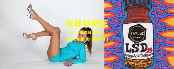 гашик Вязьма