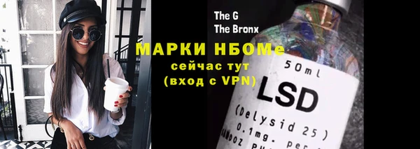 гашик Вязьма