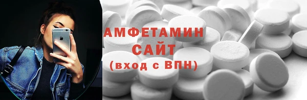 молекула духа Вяземский
