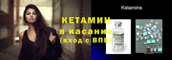 молекула духа Вяземский