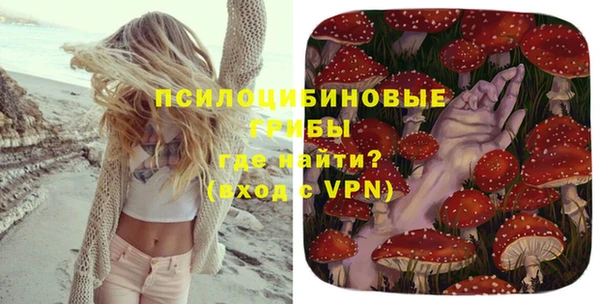 молекула духа Вяземский