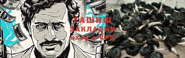 молекула духа Вяземский