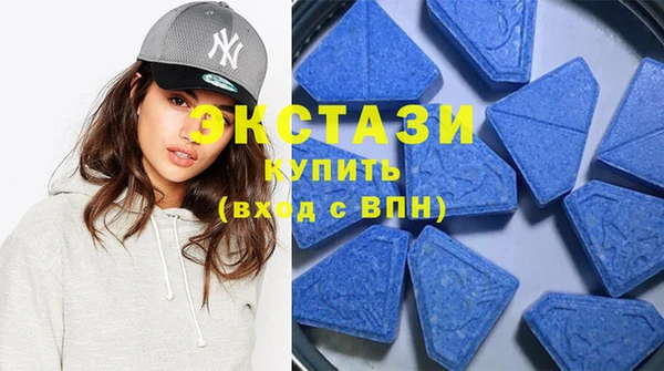 молекула духа Вяземский