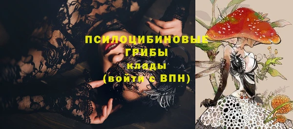 гашик Вязьма