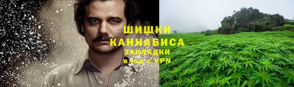 гашик Вязьма