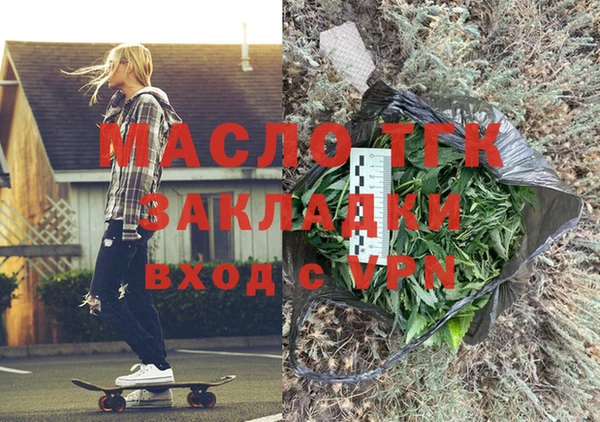 молекула духа Вяземский