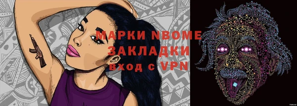 молекула духа Вяземский
