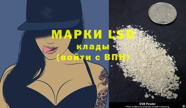 молекула духа Вяземский