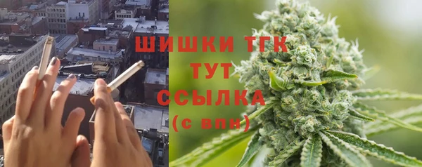 гашик Вязьма