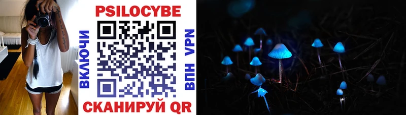 Галлюциногенные грибы Cubensis  kraken зеркало  Новый Оскол  магазин продажи наркотиков 